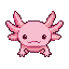 Axolotl
